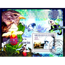 Guinea 2009 - 200 de ani de la nasterea lui Charles Darwin - 1 - colita s