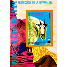 Guinea Ecuatoriala - Protejarea naturii - Capra din muntii Rocosas - colita n