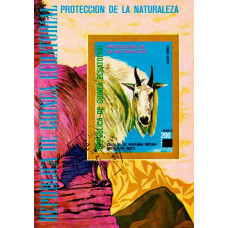 Guinea Ecuatoriala - Protejarea naturii - Capra din muntii Rocosas - colita ns