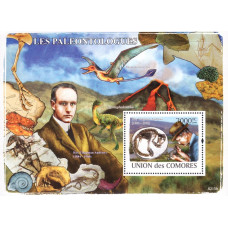 Insulele Comore 2008 - Paleontologi - colita