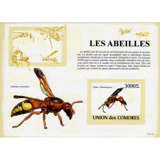 Insulele Comore 2009 - Albine - 2 - colita n