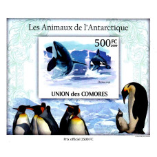 Insulele Comore 2009 - Animale antarctice - 1 - colita n