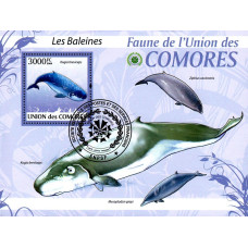Insulele Comore 2009 - Balene - 3 - colita s