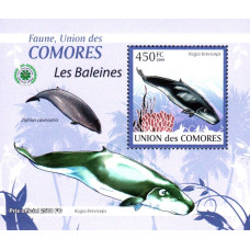 Insulele Comore 2009 - Balene - 1 - colita