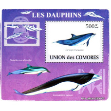Insulele Comore 2009 - Delfini - 3 - colita