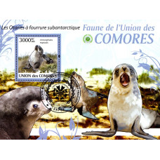 Insulele Comore 2009 - Fauna subantarctica - colita s