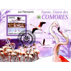 Insulele Comore 2009 - Flamingo - colita s