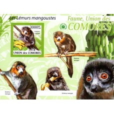 Insulele Comore 2009 - Lemuri - colita n