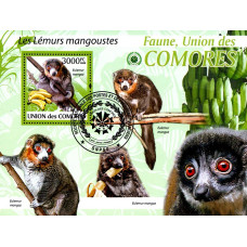 Insulele Comore 2009 - Lemuri - colita s