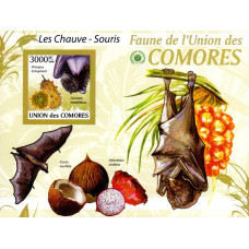 Insulele Comore 2009 - Lilieci - 2 - colita n