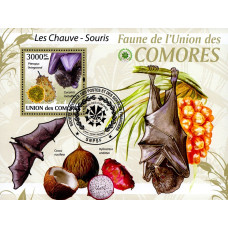 Insulele Comore 2009 - Lilieci - 2 - colita s