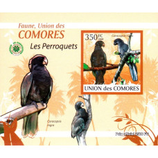 Insulele Comore 2009 - Papagali - 1 - colita n