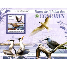 Insulele Comore 2009 - Pasari - 12 - colita