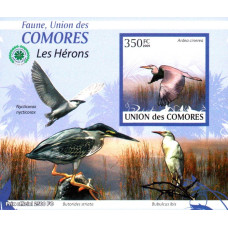 Insulele Comore 2009 - Pasari - 2 - colita n