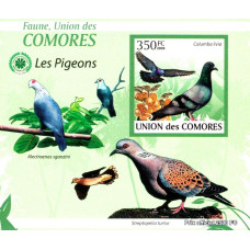 Insulele Comore 2009 - Porumbei - 1 - colita n
