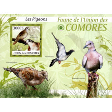 Insulele Comore 2009 - Porumbei - 3 - colita
