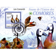 Insulele Comore 2009 - Rate - colita s