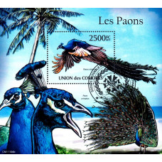 Insulele Comore 2011 - Pauni - colita s