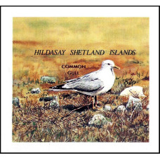 Insulele Hildasay Shetland - Pasari - colita n