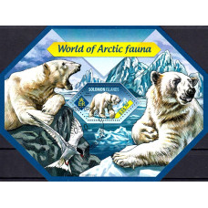 Insulele Solomon 2014 - Fauna arctica - colita s