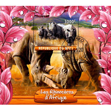 Mali 2020 - Rinoceri - colita s