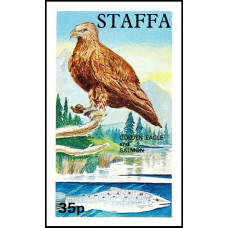 Scotia Staffa - Vultur auriu si somon - colita n