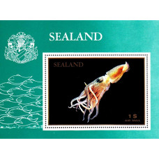 Sealand - Fauna marina - colita