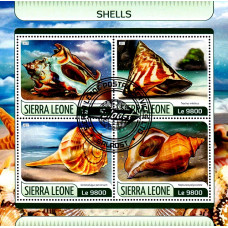 Sierra Leone 2017 - Cochilii - bloc s