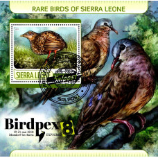 Sierra Leone 2017 - Pasari rare - colita s