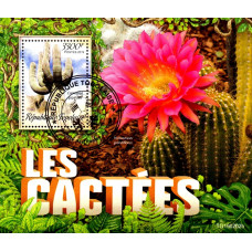 Togo 2019 - Cactusi - colita s
