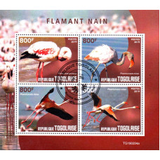 Togo 2019 - Pasari Flamingo - bloc s