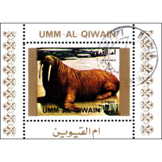 Umm Al Qiwain 1972 - Fauna salbatica - 15 - colita s Umm Al Qiwain 1972 - Fauna salbatica - 15 - colita s